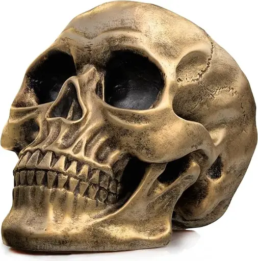 READAEER Resin Skull